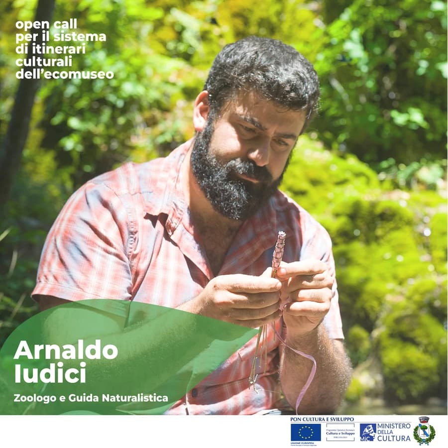arnaldo
