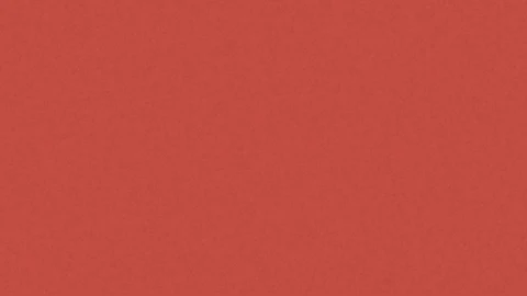 Timeline 1lontra tagliato